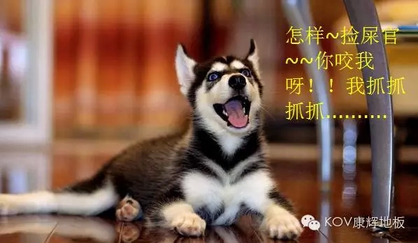 jdb电子娱乐十大平台